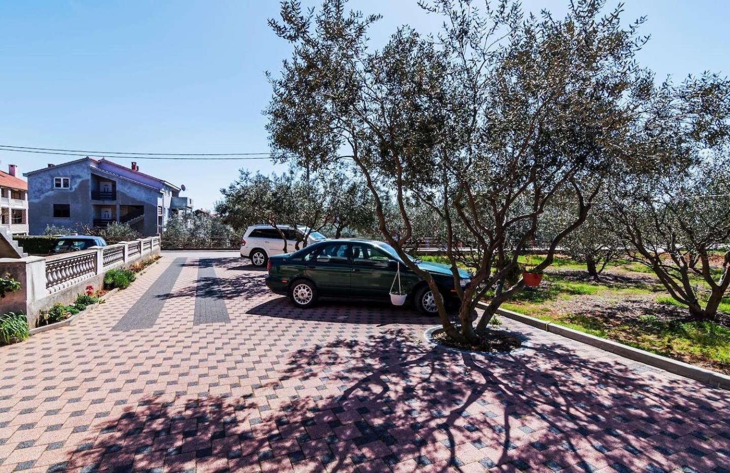 Apartments Brane - Free Parking زادار المظهر الخارجي الصورة